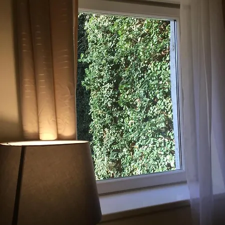 Corso Quiet Budapesta